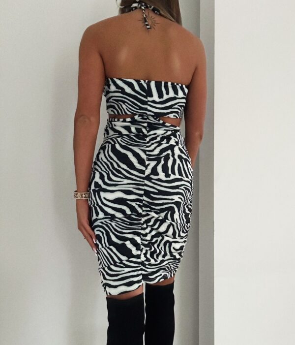 Sukienka Róża Zebra